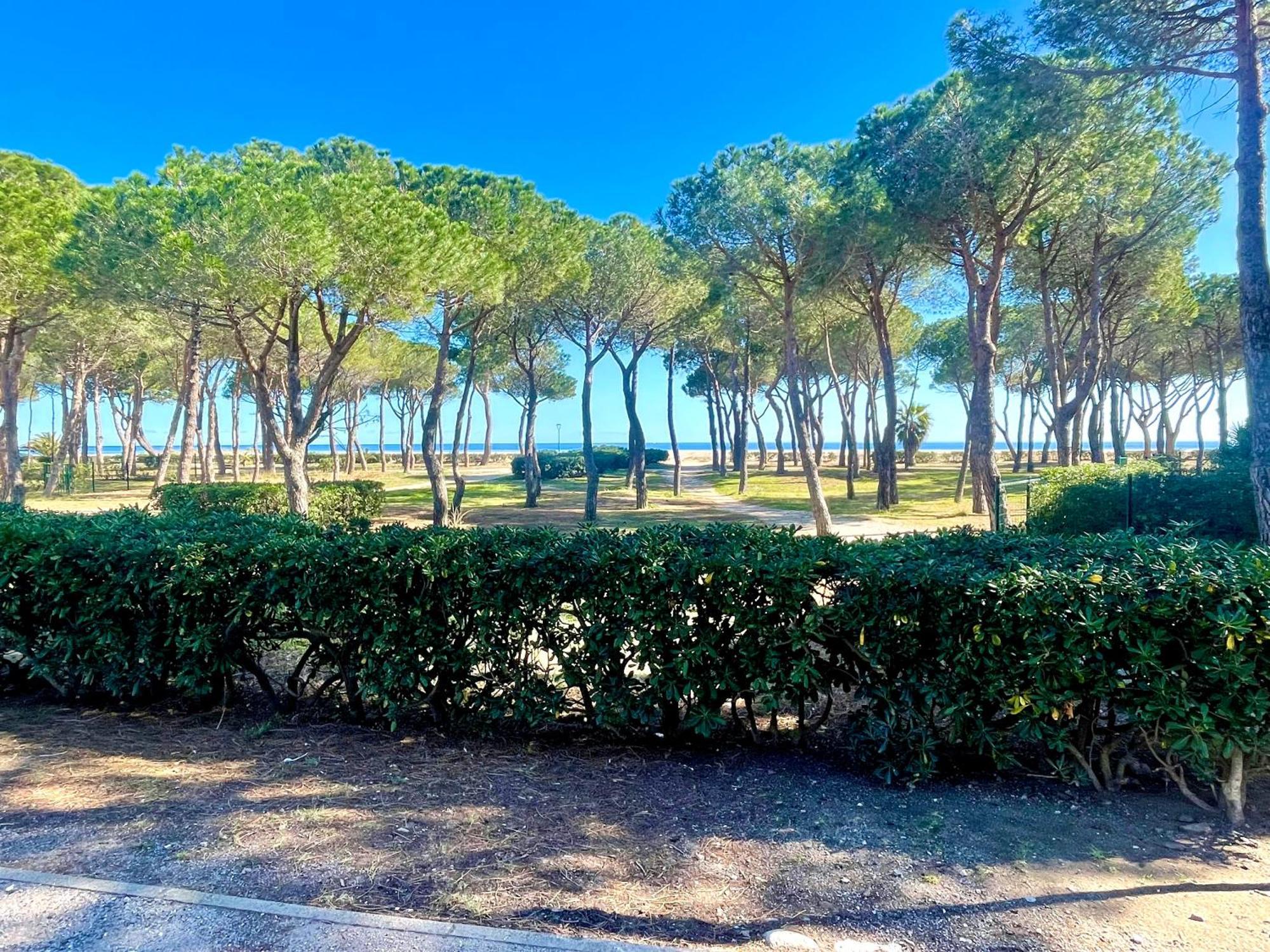 Appart Clim , Wifi, Plage 200 Metres Apartment Argeles-sur-Mer Bagian luar foto